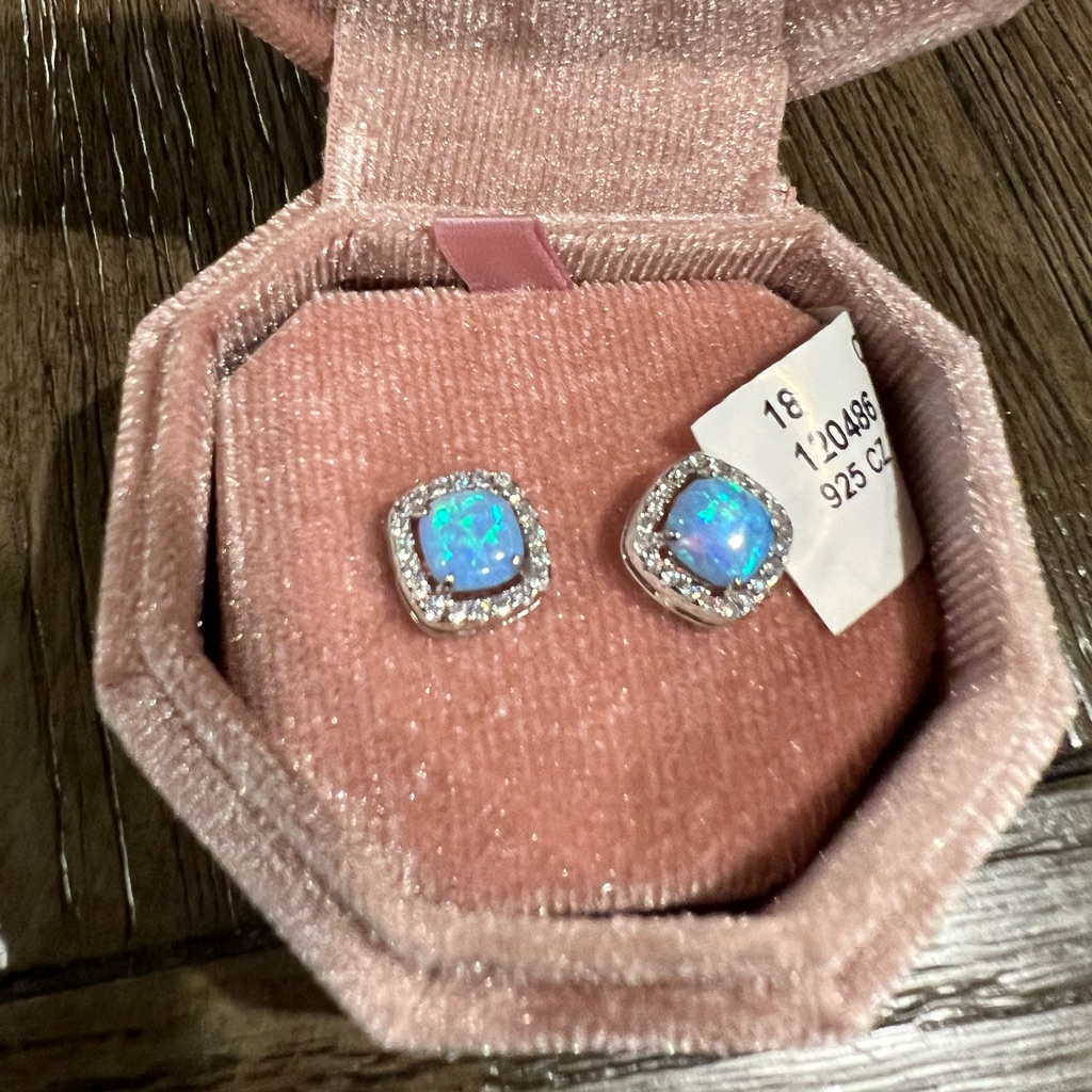 Isabella M. Sterling Silver And Cc Earrings Nwt